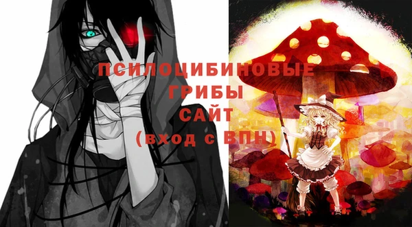 скорость Бронницы