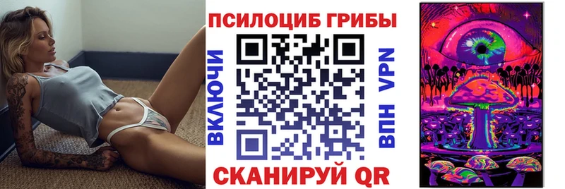 Галлюциногенные грибы Psilocybe  магазин продажи наркотиков  Гатчина 