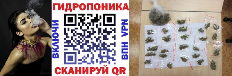МАРИХУАНА марихуана Гатчина
